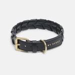 Mela Caspita Dog Collar- Black - By Scout