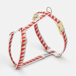 Nice Grill Harness - Red - By Scout