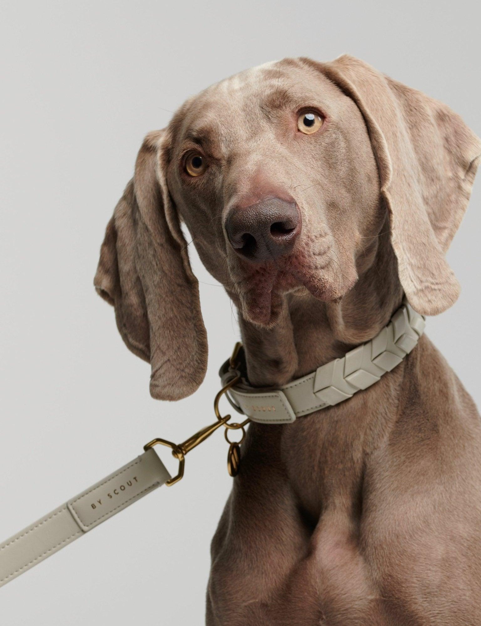 Mela Caspita Adjustable Dog Leash - Cream - By Scout