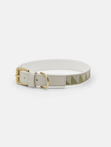 Nice Grill Dog Collar - Sage - By Scout