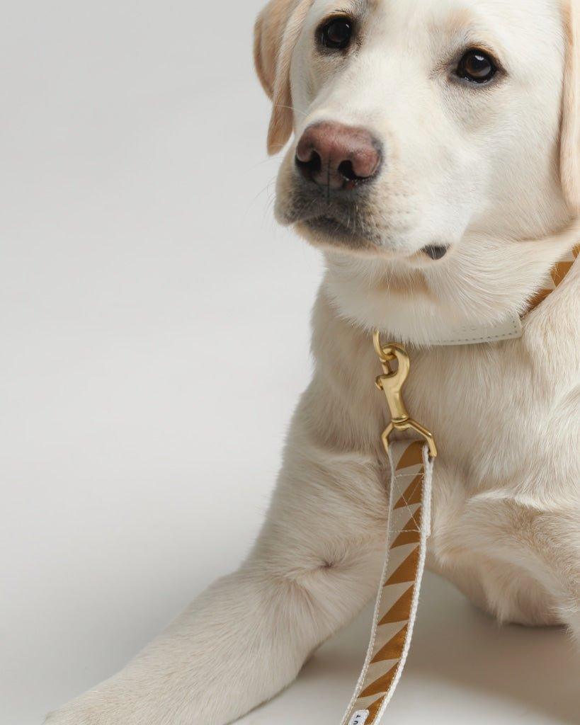 Nice Grill Dog Leash, graphic pattern detail - Caramel - By Scout