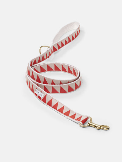 Nice Grill Dog Leash, with solid brass hardware clasps and D-ring - Red - By Scout