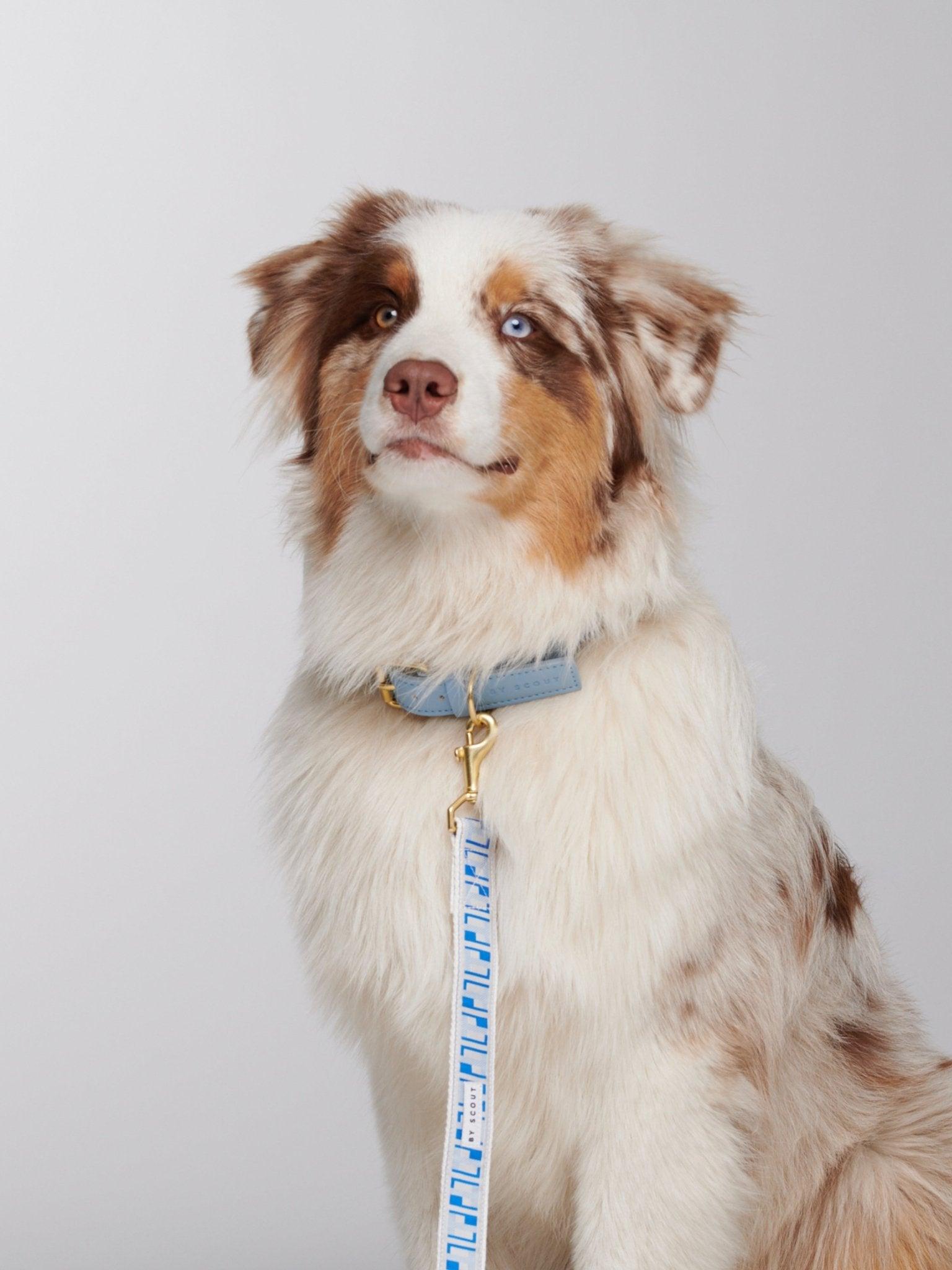 Trove Adjustable City Leash - Blues - By Scout
