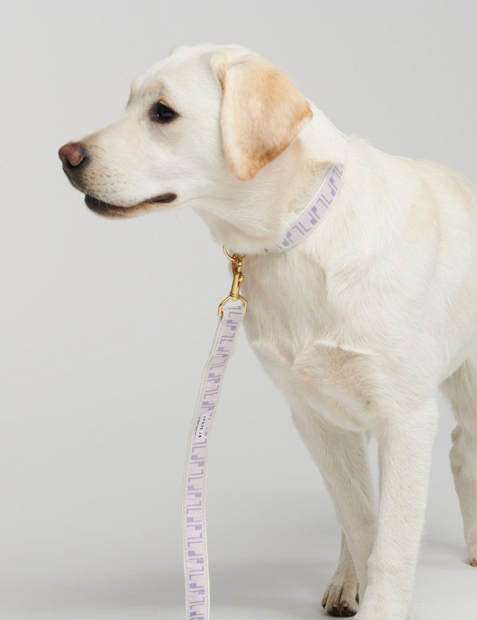 Trove Dog Leash in lilac and pinks - By Scout